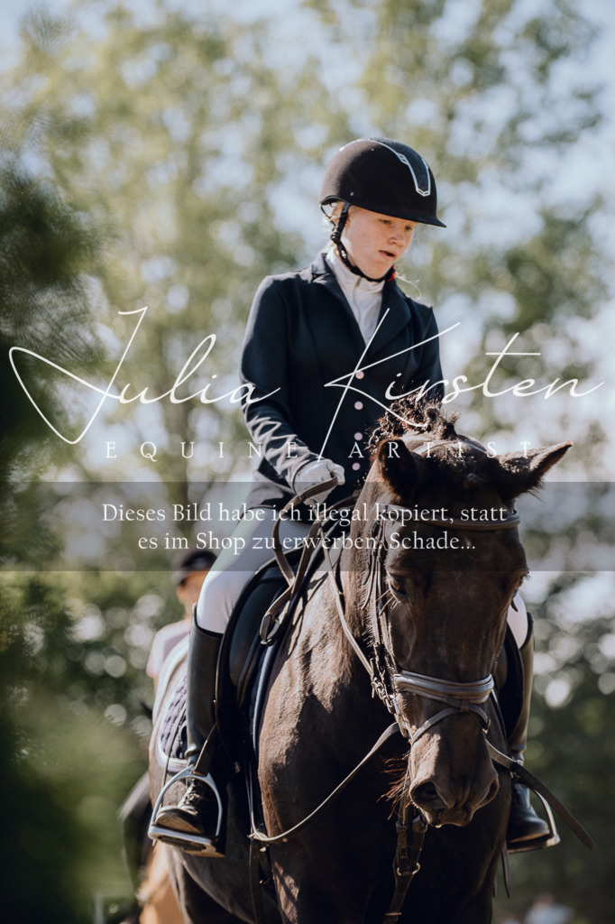 DSC_7240 | Pferde- und Turnierfotografie in Westsachsen. Pferdeportraits, Auftragszeichnungen und intuitive Kunst.
