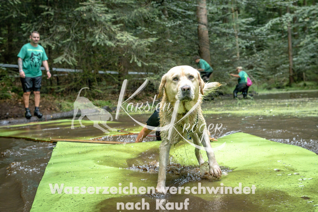 1511_ZZ94620-Bearbeitet | kk-dogfotos