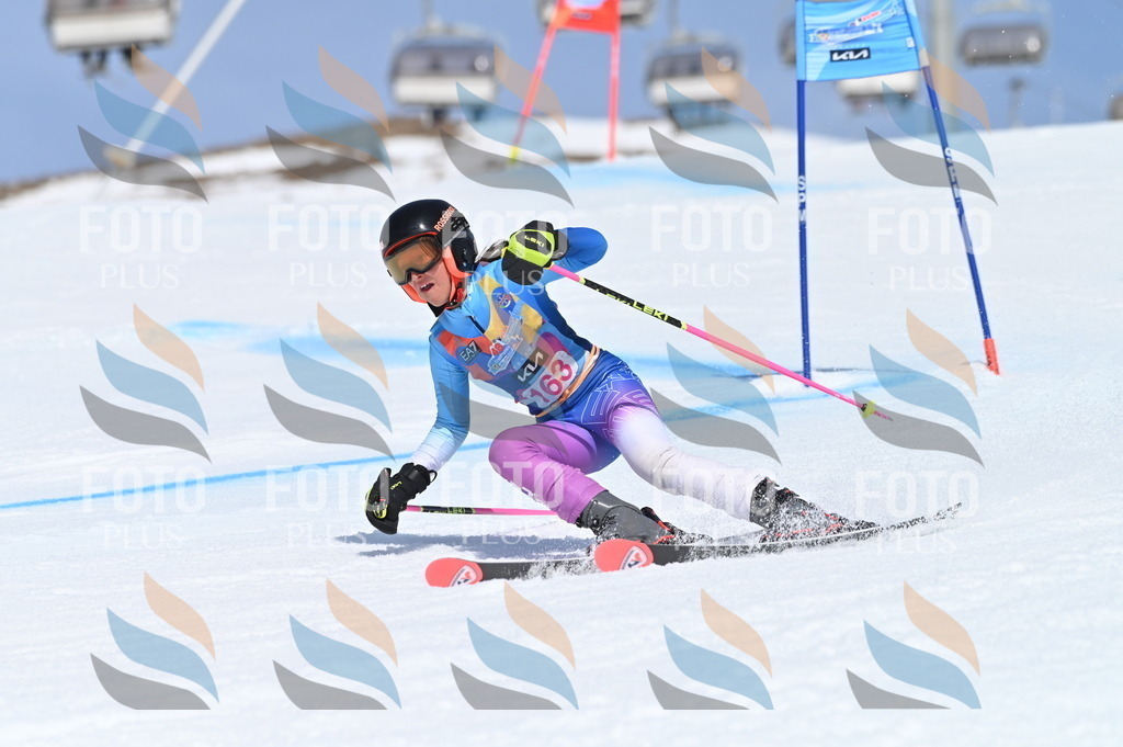 BGV_0320 | holidayphoto