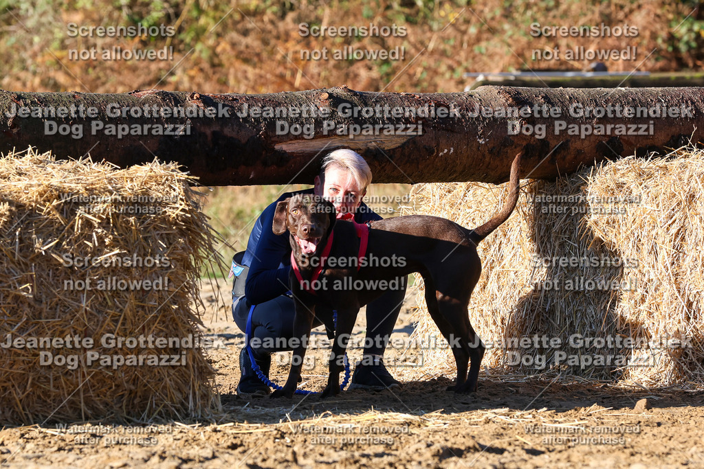 Dog Paparazzi - Strongdog 10-25-1469 | Dog Paparazzi Jeanette Grottendiek Fotografie & Videografie - Realisiert mit Pictrs.com