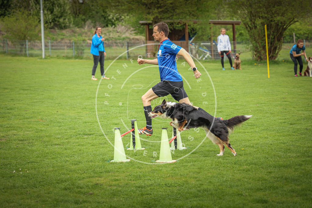 Pfotenfotografie_0L8A9373 | Hundefotografie, Tierfotograf, Pfotenfotografie, Fotoshooting Hund, Hunde Portrait, Hundesport, Hundeportraits, Heideshooting, Hunde, Sportfotograf, Hundefotograf, Turnierhundsport, THS,  - Realisiert mit Pictrs.com