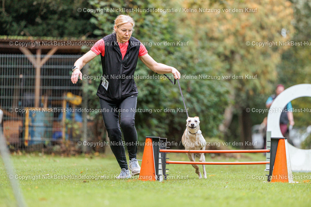 THS-HSV-Blumenthal-2026-Nickbest-Hundefotografie-1548 | Dein Hund! Dein Moment! Deine Erinnerungen! Hundefotografie in Bremen Blumenthal. Ich fange die besonderen Momente deines Vierbeiners ein – ob Indoor mit Blitzanlage oder in der freien Natur. Sicher dir dein Moment und dein Termin für eure Erinnerungen.