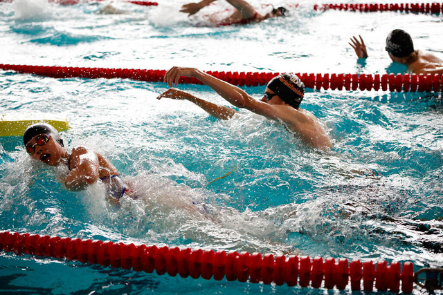 DLRG, Wettkampf, Rettungssport, Landesverbandsmeisterschaften 2026 14.06.2026 | Bedburg, Deutschland - June, 14: Landesmeisterschaften im Rettungssport der Mannschaften im DLRG Landesverband Nordrhein. (Foto: Benedikt Lang (DLRG) - Realisiert mit Pictrs.com