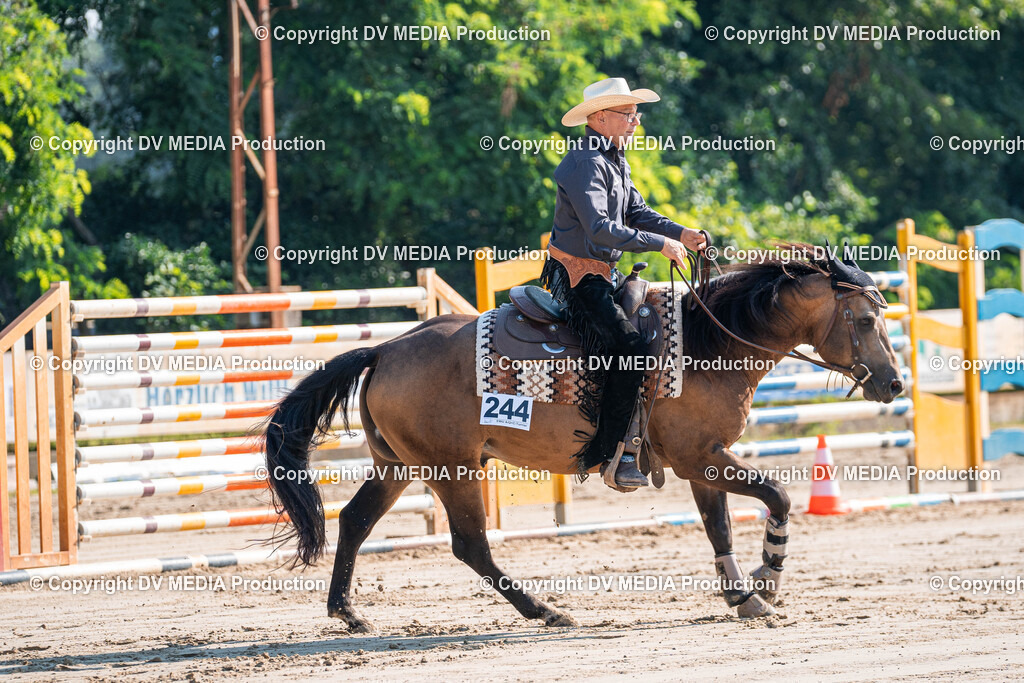 Zeiskam Tag 2-186 | dv-media-shop - Realisiert mit Pictrs.com