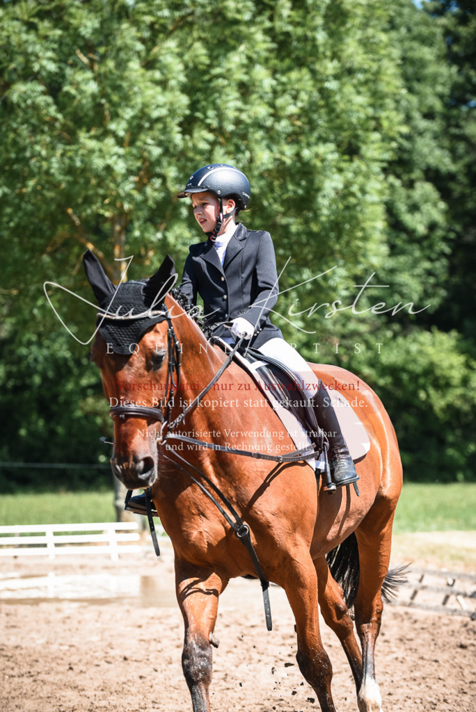 DSC_3004 | Pferde- und Turnierfotografie in Westsachsen. Pferdeportraits, Auftragszeichnungen und intuitive Kunst.
