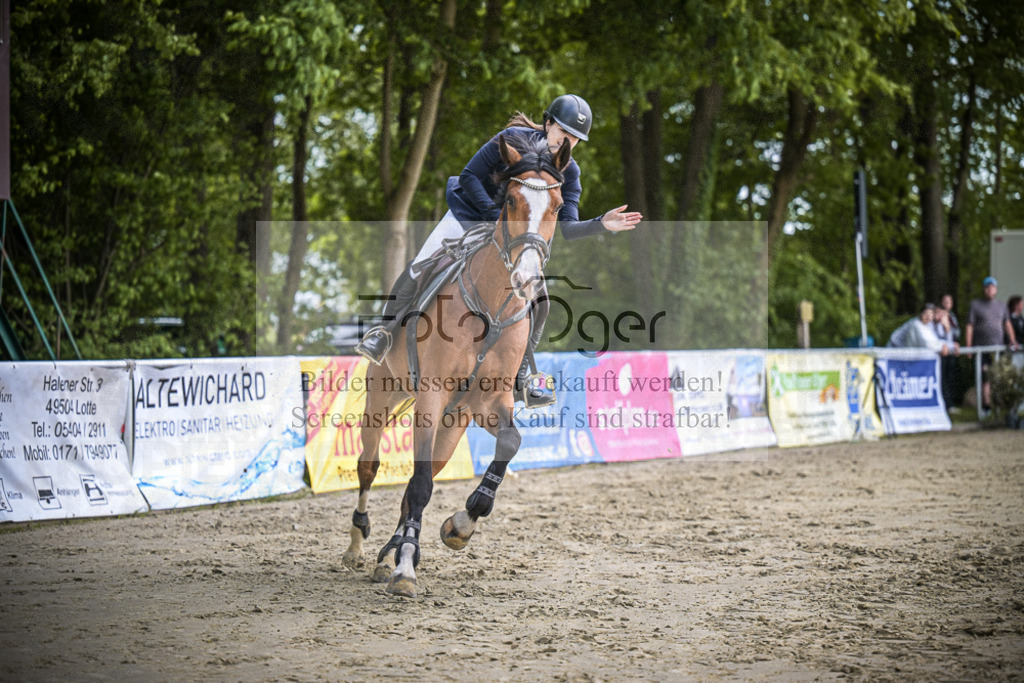 DOS_1979 | Entdecke hochwertige Reitturnierfotos von Foto Oger. Professionell, emotional und authentisch – jetzt Lieblingsmomente im Shop bestellen.Deutschlandweite Turnierfotografie. - Realisiert mit Pictrs.com