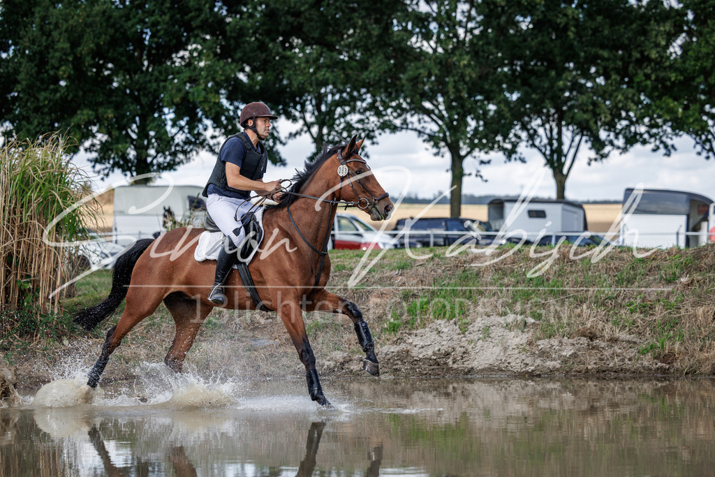 20260905-_3LI9830 | Tierfotografie Pferde, Hunde, Katzen, Haustiere.
Turnierfotografie Reitturniere, Reiten, Springreiten, Dressur in Hanau, dem Main-Kinzig-Kreis und dem Rhein-Main- Gebiet um Frankfurt