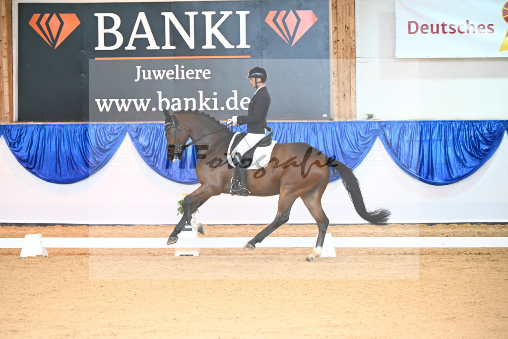 Kat-Nr. 39 Django_v d Vorst_14240519 | hf-fotografie - Realisiert mit Pictrs.com