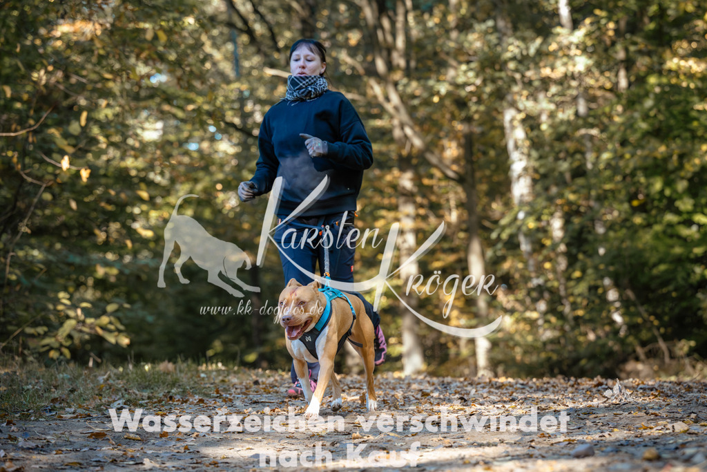 1122_ZZ92214 | kk-dogfotos
