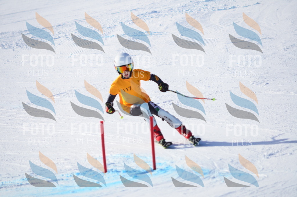 C6323 | holidayphoto