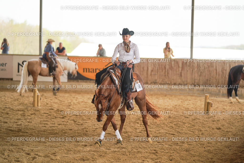 DSC05953 | Pferdegrafie