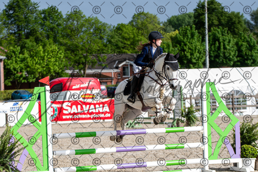 KPT_7967 | andre_photographic