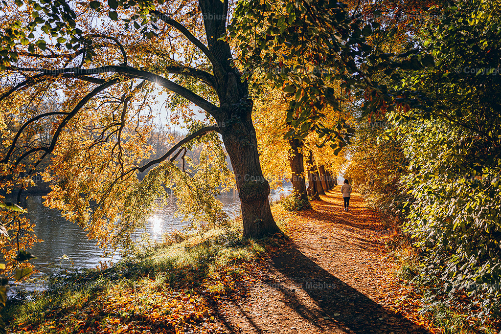_DSC7072 | Leipzig Wandbilder Drucke Prints Leinwand Stadtmotive Leipzig Fotosdruck Kunstdrucke Bilder Leipzig Stadtansichten Acrylglasbilder Leipzig Wanddeko Fine Art Prints Wandbilder Büro Leipzig Bilder Praxis Zuhause Bilderdruck Poster Posterlounge Kunstdrucke - Realisiert mit Pictrs.com
