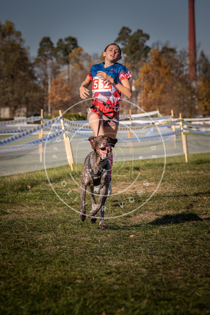 CaniXpix_0L8A7727 | Hundefotografie, Tierfotograf, Pfotenfotografie, Fotoshooting Hund, Hunde Portrait, Hundesport, Hundeportraits, Heideshooting, Hunde, Sportfotograf, Hundefotograf, Turnierhundsport, THS,  - Realisiert mit Pictrs.com