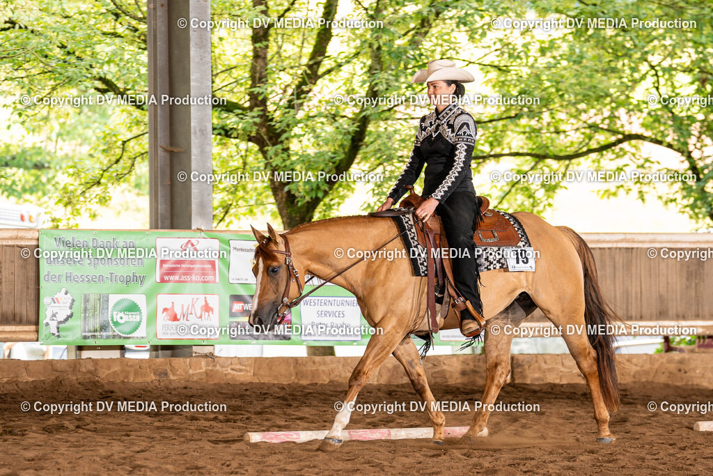 Erbach Tag 1-257 | dv-media-shop - Realisiert mit Pictrs.com