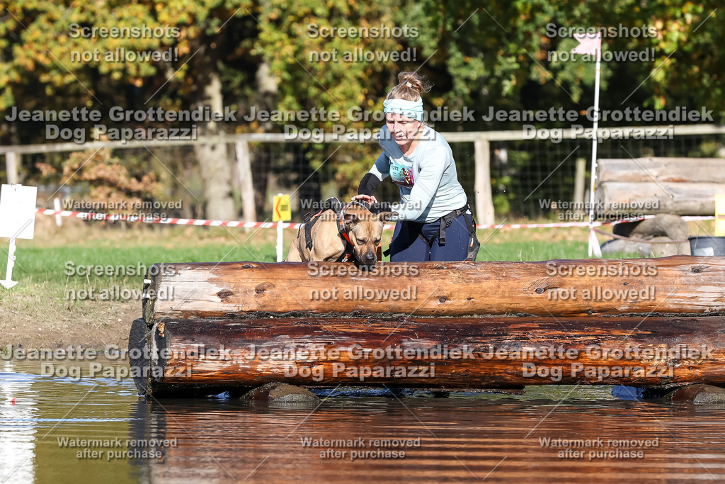 Dog Paparazzi - Strongdog 10-25-8871 | Dog Paparazzi Jeanette Grottendiek Fotografie & Videografie - Realisiert mit Pictrs.com