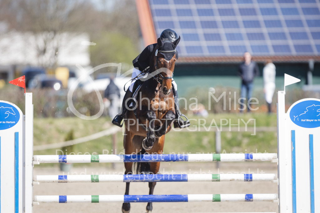220416_2_A-Springen-246 | Frühlingsfest der Pferde
Herford
16.April 2022
02 Springprüfung Kl. A** geschlossen