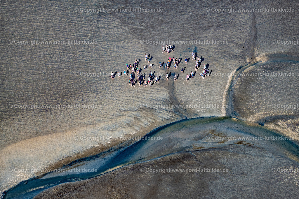 Norderney_Wattenmeer_Wattwanderung_ELS_6145050923 | NORDERNEY 05.09.2023 Wattwanderung eine Gruppe im Wattenmeer vor Norderney im Bundesland Niedersachsen, Deutschland. // A group hiking on the Wadden Sea in front of Norderney in the state of Lower Saxony, Germany. Foto: Martin Elsen