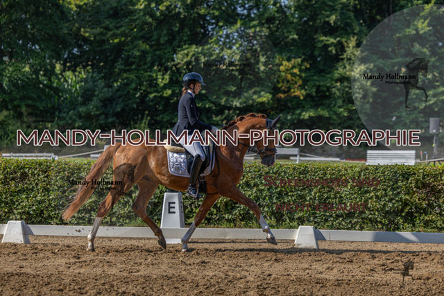 15.8.25 D1 RPF 3j (190 von 255) | mandyhollmannphotographie
