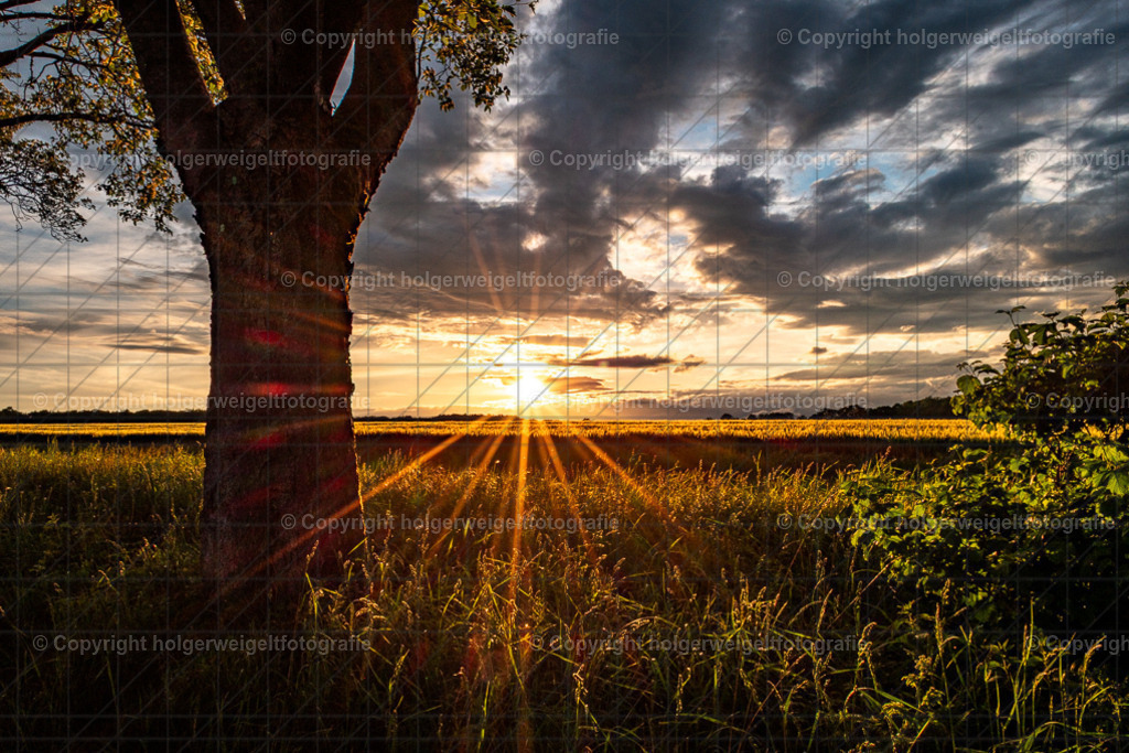 Abendstimmung | Kaufen sie online außergewöhnliche Fotografien auf Leinwand Acrylglas Fotoprint Aludibond von holgerweigeltfotografie - Realisiert mit Pictrs.com