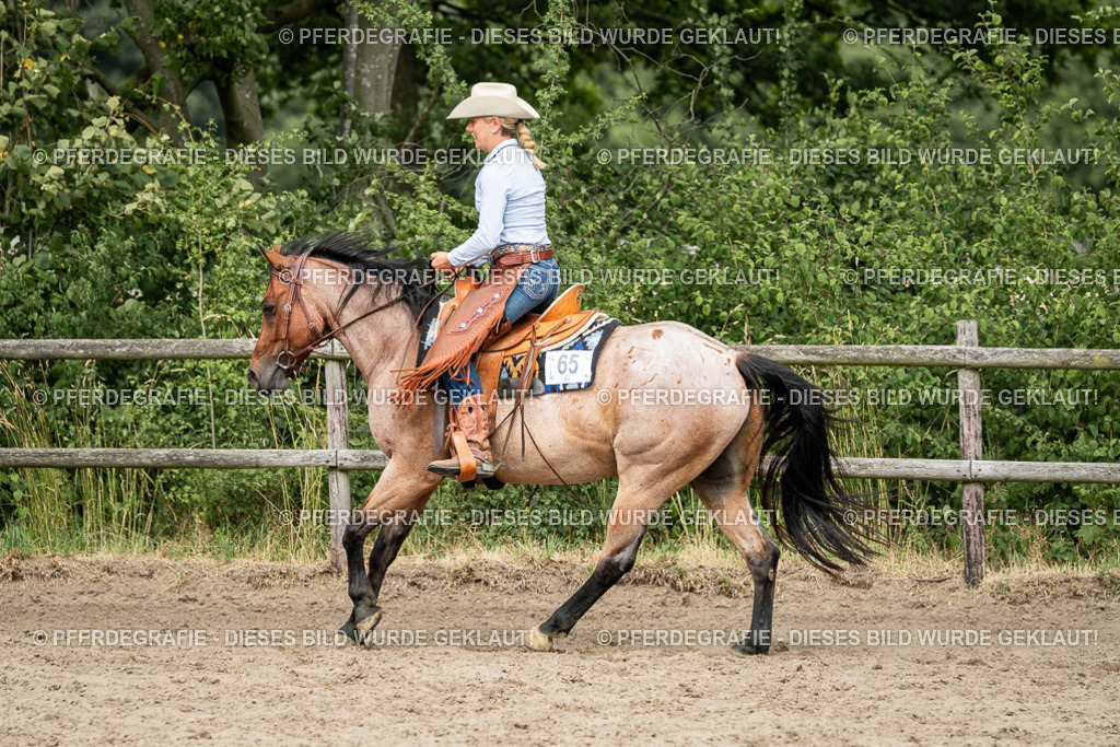 DSC01768 | Pferdegrafie