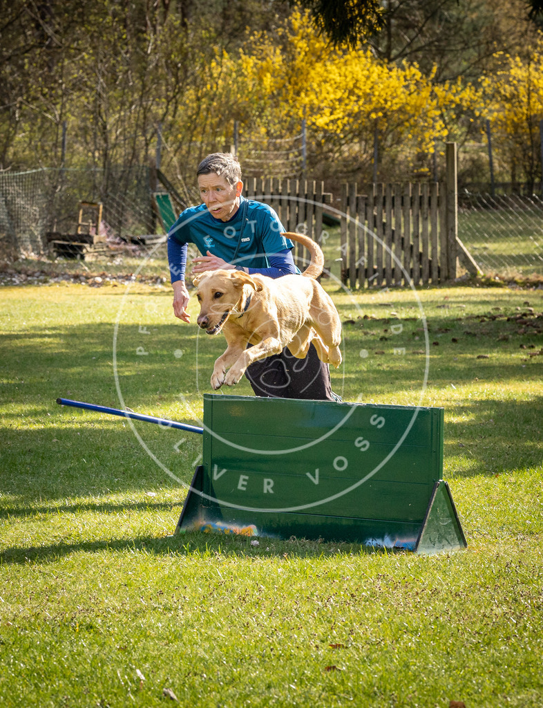 Pfotenfotografie_DV3A1449 | Hundefotografie, Tierfotograf, Pfotenfotografie, Fotoshooting Hund, Hunde Portrait, Hundesport, Hundeportraits, Heideshooting, Hunde, Sportfotograf, Hundefotograf, Turnierhundsport, THS,  - Realisiert mit Pictrs.com