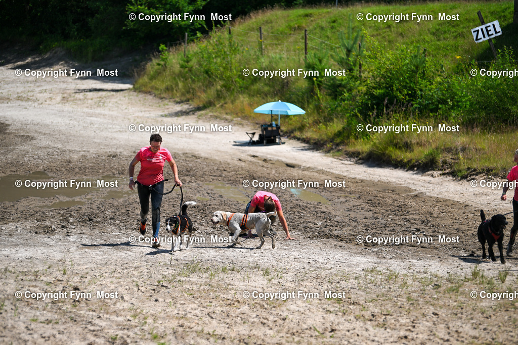 DSC_5534 | Hallo und herzlich Willkommen auf meiner Shop-Seite Fynn Most.

Ich wünsche Dir viel Spaß beim stöbern durch die Bilder, wenn Du Fragen hast oder Bilder vermisst, kannst du mir gerne eine Nachricht schreiben. - Realisiert mit Pictrs.com
