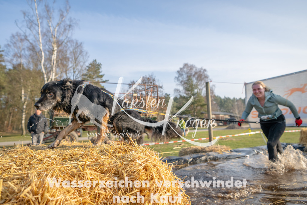 _ZZ90884 | kk-dogfotos