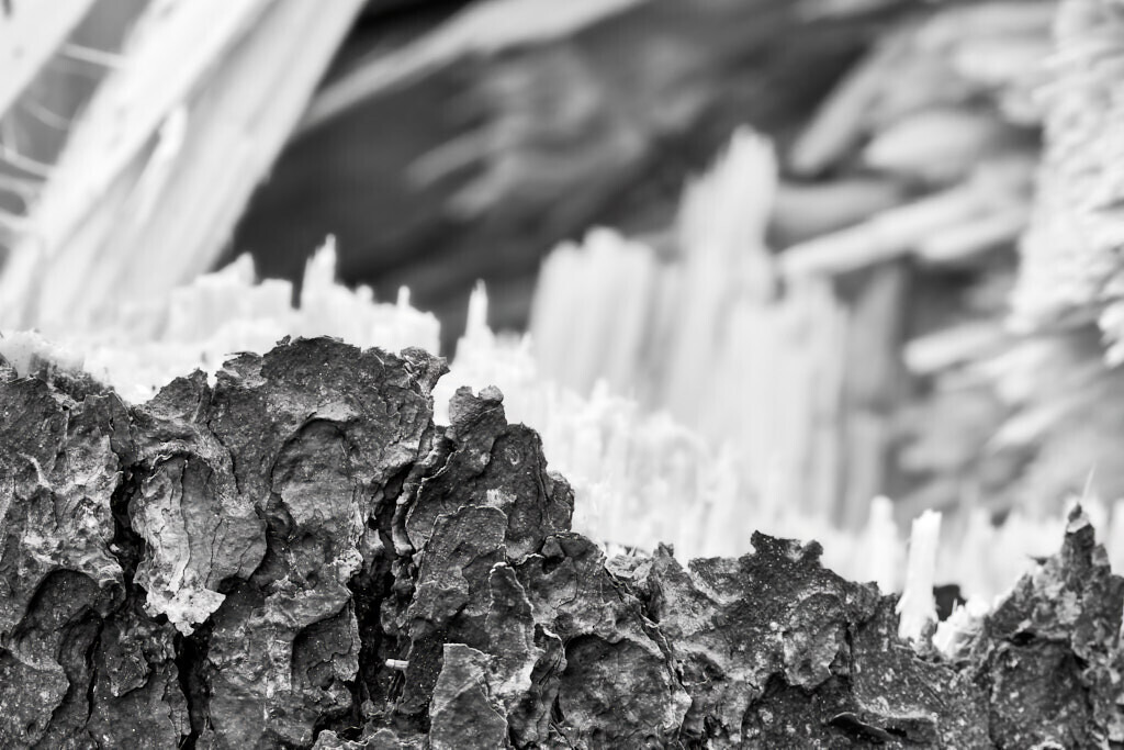 Holzbruch | Ich erzähle Geschichten als Autor und als Fotograf. Hier finden Sie hochwertige Naturfotografie, Reisefotografien und Bilder aus dem urbanen Lebensraum.  - Realisiert mit Pictrs.com