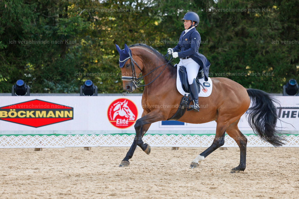 09_2-169-DRESSUR  S_  -StoibPH-5764 | working equitationturnier fotograf videograf stoibphotography marixx film working equitation deutschland reitsport turnierfotografie eventfotografie equestrian events