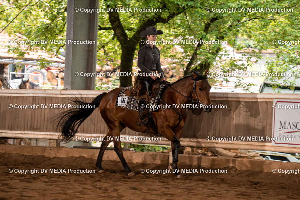 Erbach Tag 4-552 | dv-media-shop - Realisiert mit Pictrs.com