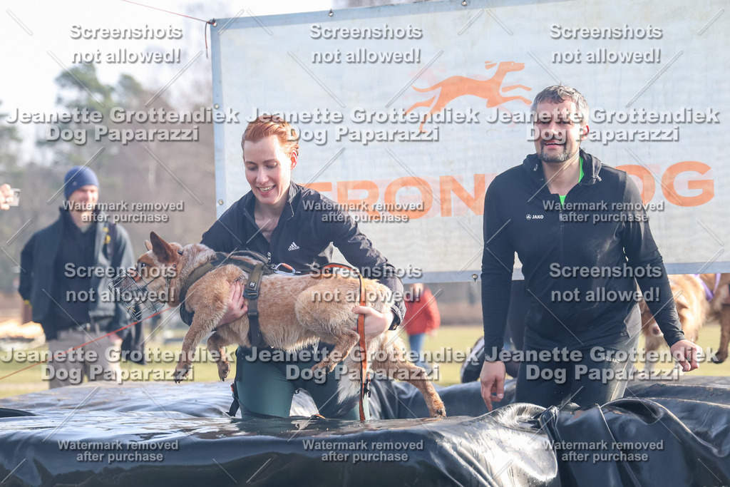 Dog Paparazzi - Strongdog North Mrz26-179 | Dog Paparazzi Jeanette Grottendiek Fotografie & Videografie - Realisiert mit Pictrs.com