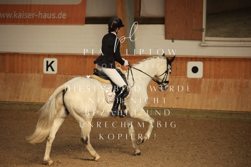 IMGT4447 | pl-fotografie