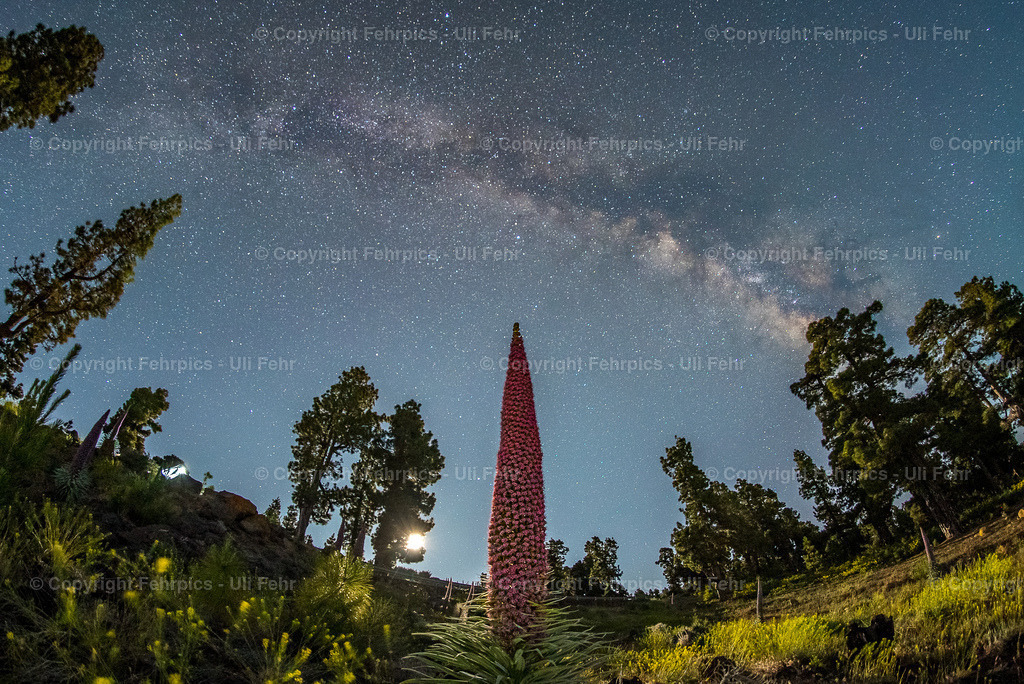 20220523-7S308083 | Fehrpics - hochwertige Fotoprodukte rund um Landschaft, Natur, Sterne & Milchstraße. - Realisiert mit Pictrs.com