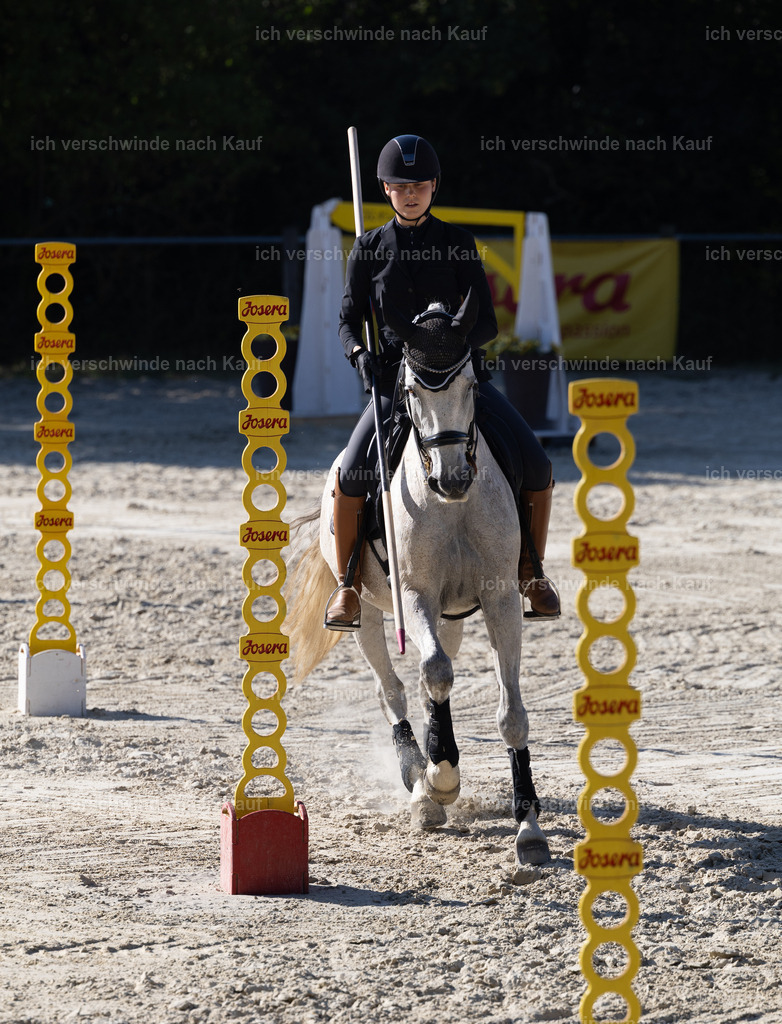 WS_StilTail_68_KerstinBernhardt-5 | working equitationturnier fotograf videograf stoibphotography marixx film working equitation deutschland reitsport turnierfotografie eventfotografie equestrian events