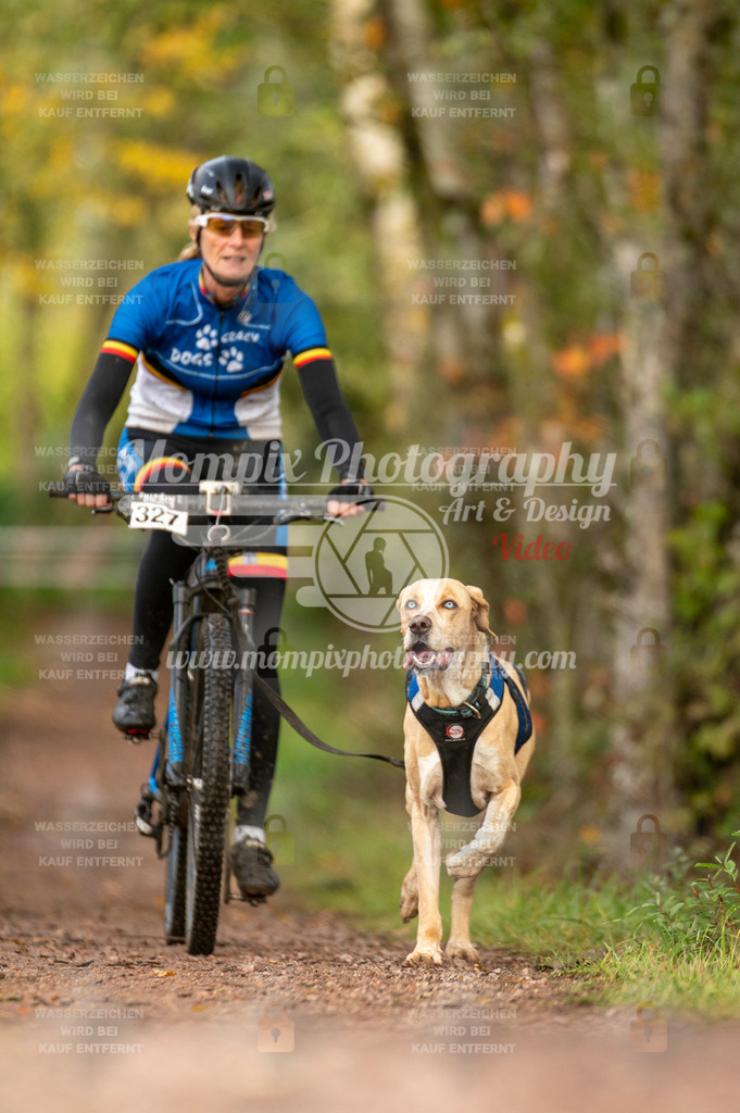 TSB_2023_E4_Bike-47 | PayLife
