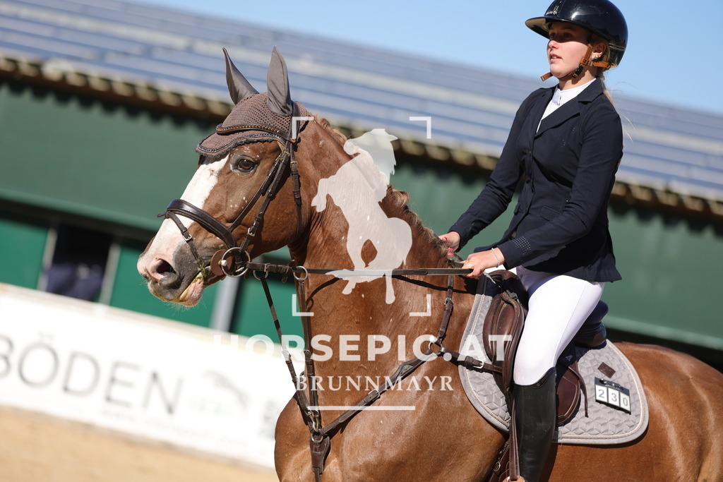 0P6A0329 | Willkommen bei Brunnmayr - Design & Fotografie – Ihrem Spezialisten für Reitturniere und Pferdeveranstaltungen in Oberösterreich, Salzburg und Bayern! Seit über 17 Jahren sind wir leidenschaftlich dabei.