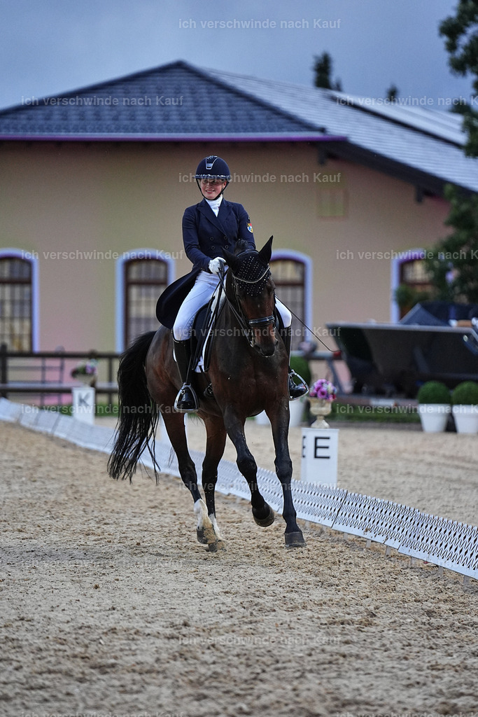 8_2-198-DRESSUR S_  -Marixx-4641 | working equitationturnier fotograf videograf stoibphotography marixx film working equitation deutschland reitsport turnierfotografie eventfotografie equestrian events