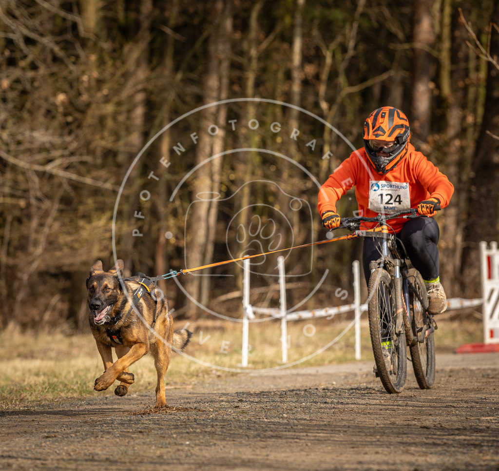 DV3A4247 | Hundefotografie, Tierfotograf, Pfotenfotografie, Fotoshooting Hund, Hunde Portrait, Hundesport, Hundeportraits, Heideshooting, Hunde, Sportfotograf, Hundefotograf, Turnierhundsport, THS,  - Realisiert mit Pictrs.com