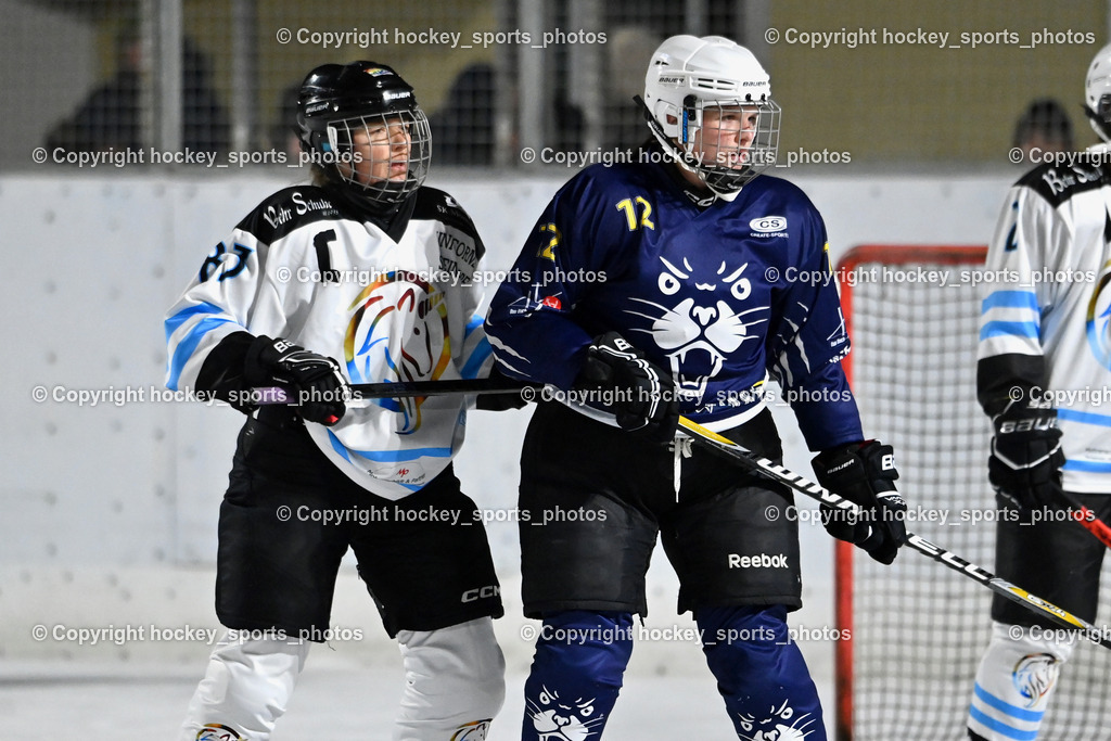 Wildcats Paternion vs. Unicorns Steindorf | #83 Vaschauner Sabrina UNICORNS STEINDORF, #12 Tritthart-Traunig Sandra WILDCATS PATERNION, Wildcats Paternion vs. Unicorns Steindorf, Wildcats Paternion vs. Unicorns Steindorf am 02.01.2026 in Paternion (Eislaufplatz Paternion), Austria, (Photo by Bernd Stefan)