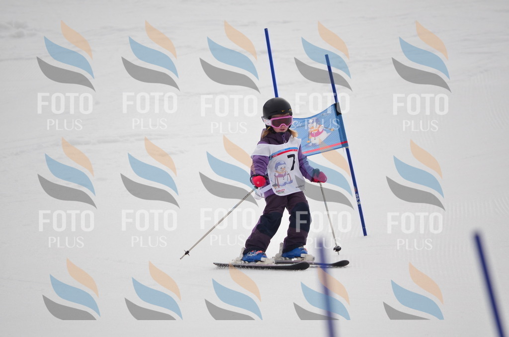 B9831 | holidayphoto