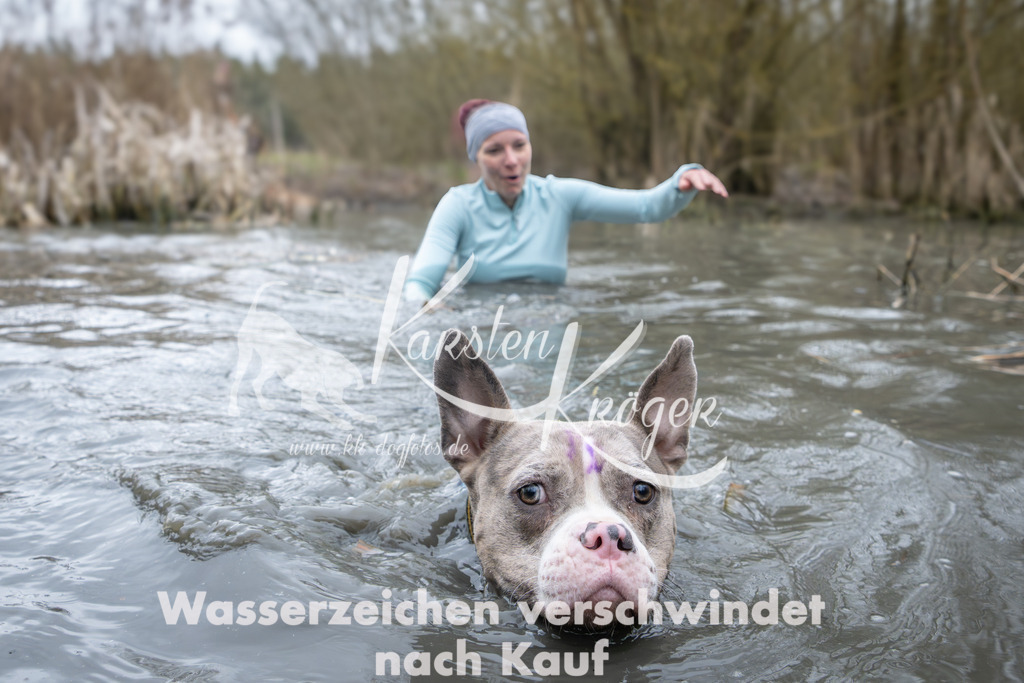 1001_ZZ95227 | kk-dogfotos