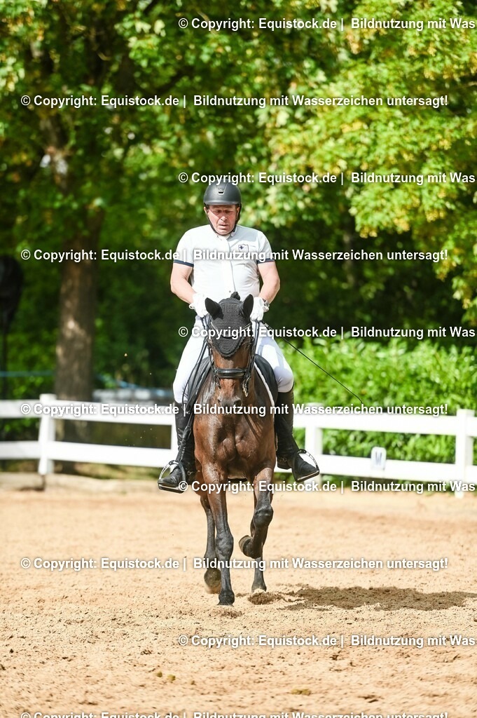 20230716_01_Dressurprüfung Kl.M_0555 | equistock