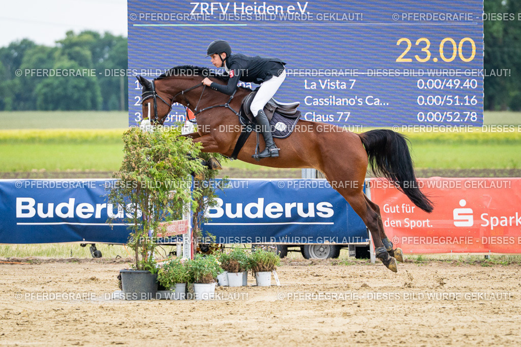 DSC06281 | Pferdegrafie