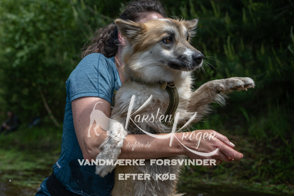 1134DKK990608 | kk-dogfotos