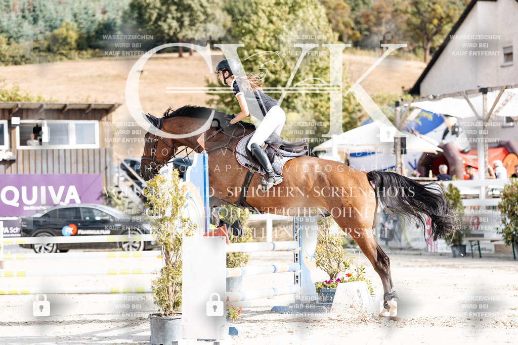 CK909055 | Turnierfotografie Pferdefotografie Trier Rheinland-Pfalz Pferdesport Reitsport Tierfotografie Sportfotografie Pferdevideo Pferdevideografie Equestrianvideography equestrianphotography  - Realisiert mit Pictrs.com