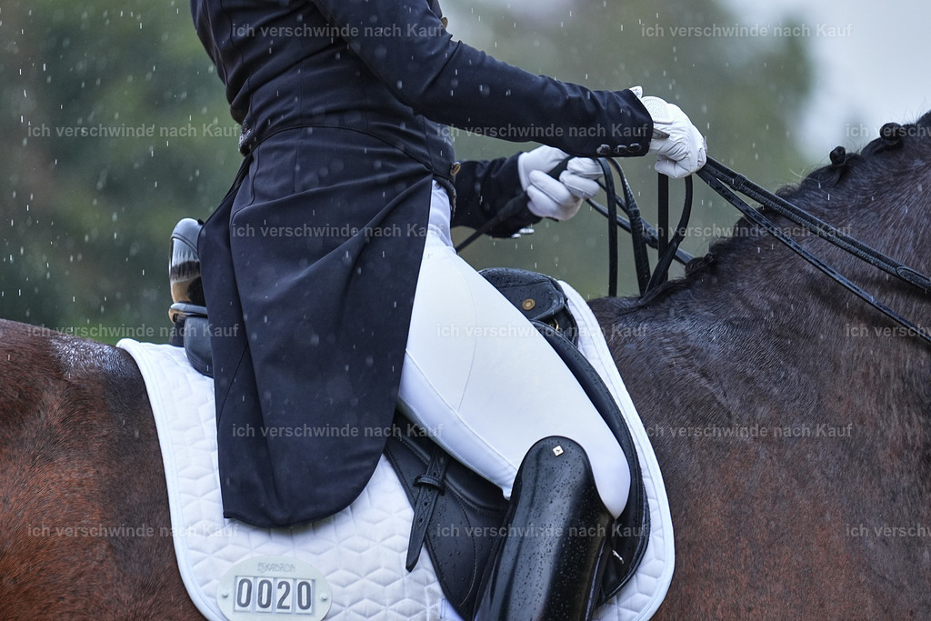 8_1-020-Klasse S_  -Marixx-4354 | working equitationturnier fotograf videograf stoibphotography marixx film working equitation deutschland reitsport turnierfotografie eventfotografie equestrian events