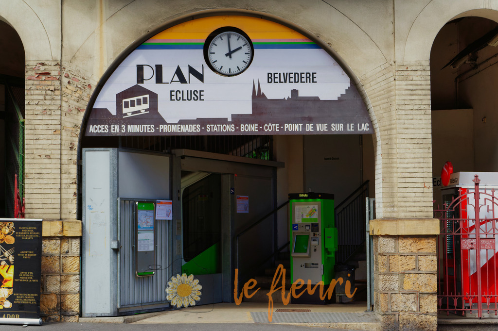 DSC_0034-NEF_DxO_DeepPRIME (1) | Dies ist der Shop von Florian Blum - le fleuri. Langenthal, Bern, SchweizSie können hier meine oder ihre eigenen Fotos als Fotoprodukte kaufen. Tassen, Schlüsselanhänger, Taschen etc. können Sie hier gestalten.  - Realisiert mit Pictrs.com