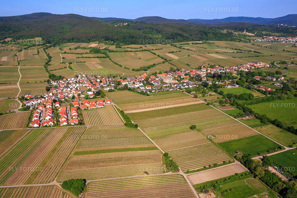 Luftbild: Ortsübersicht aus Osten in Forst an der Weinstraße im Bundesland Rheinland-Pfalz in Deutschland. Foto: IMG_078694.jpg vom 13.05.2015 durch Werner Riehm/FLY-FOTO.de