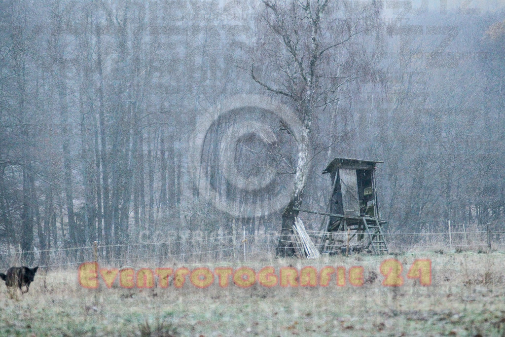 221211_0905_EV4_3734 | Sportfotografie im Rhein-Sieg Kreis, Köln, Bonn, NRW, Rheinland Pfalz, Hessen, etc. Unser Tätigkeitsfeld umfasst den Laufsport vom Volkslauf über den Marathon, Duathlon, Triathon bis zum Ultralauf wie Kölnpfad Ultra oder Schindertrail.